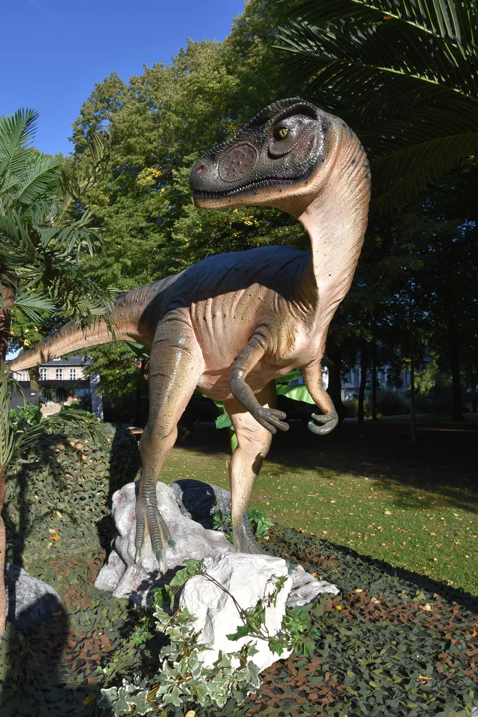 Allosaure (Jurassique)