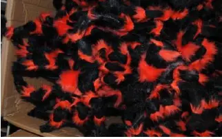 Araignée M velue orange et noir