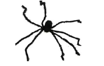 Araignée noire velue 2m