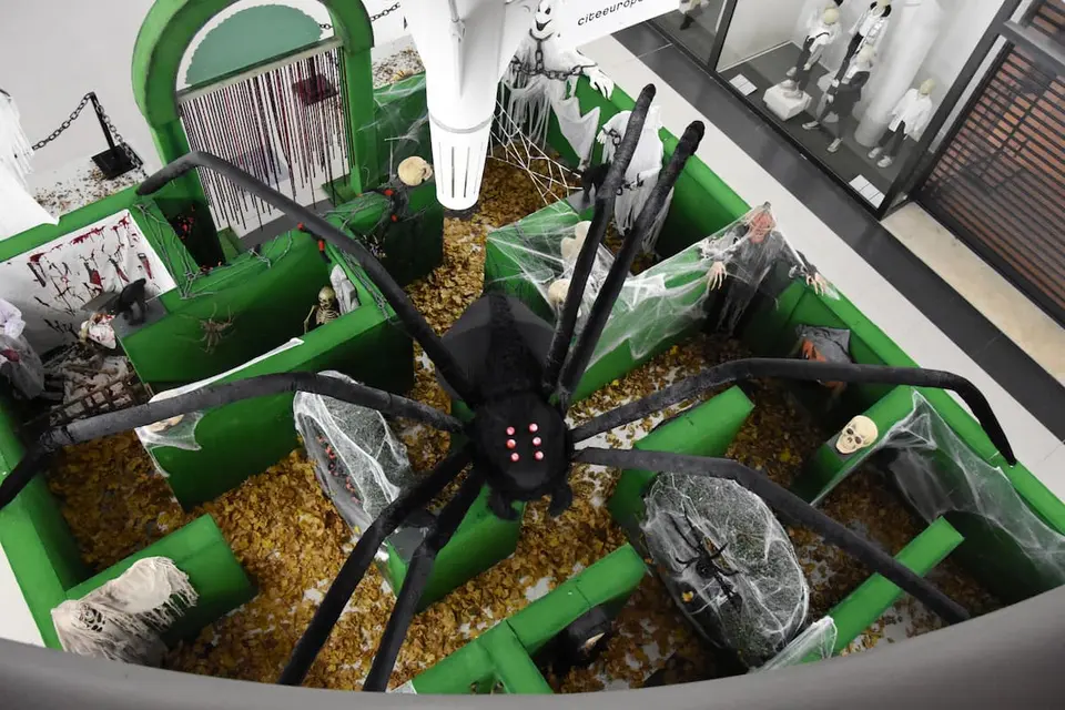 Araignée XXL à poser