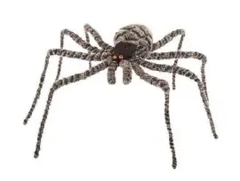 Araignées grises longues pattes 90cm