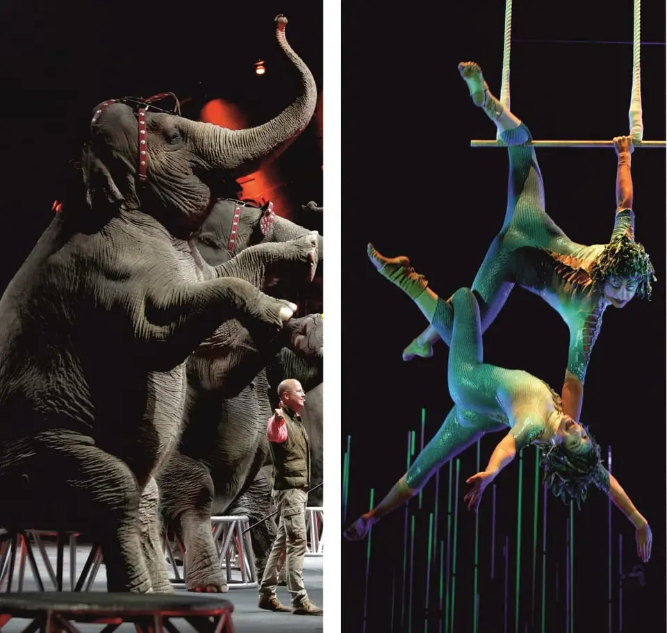 Bâche Acrobates 2m30/5m