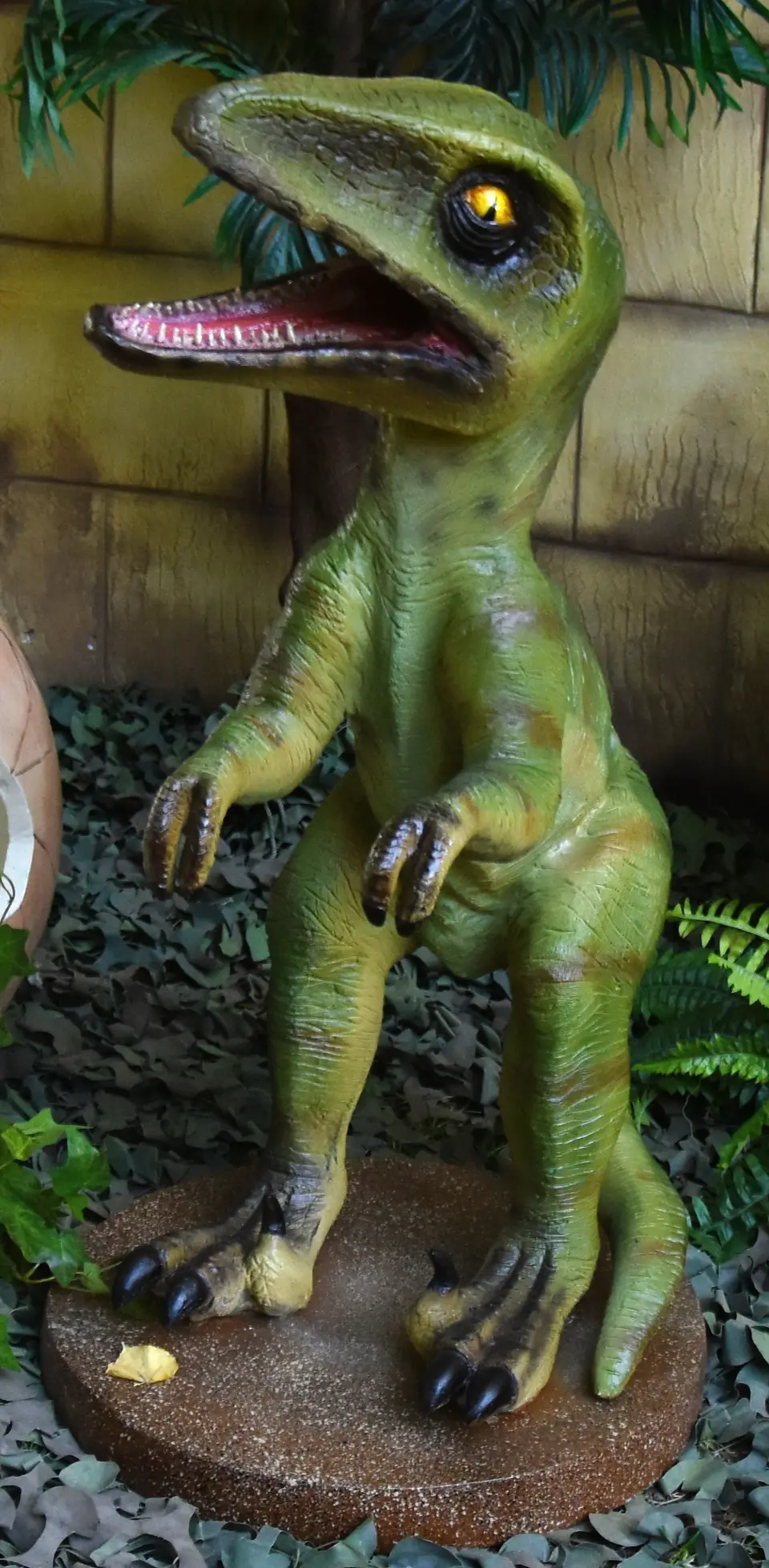 Bébé dinosaure vert sur pied (Vélociraptor)