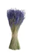 Bouquet de lavande