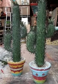Cactus 50cm dans pot mexicain