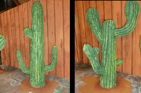Cactus