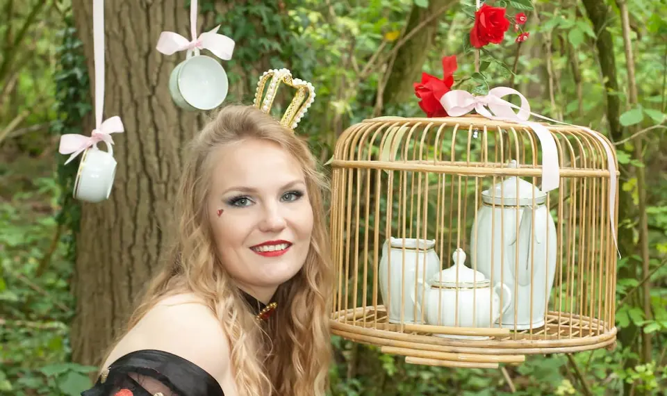 Cage à oiseau vide