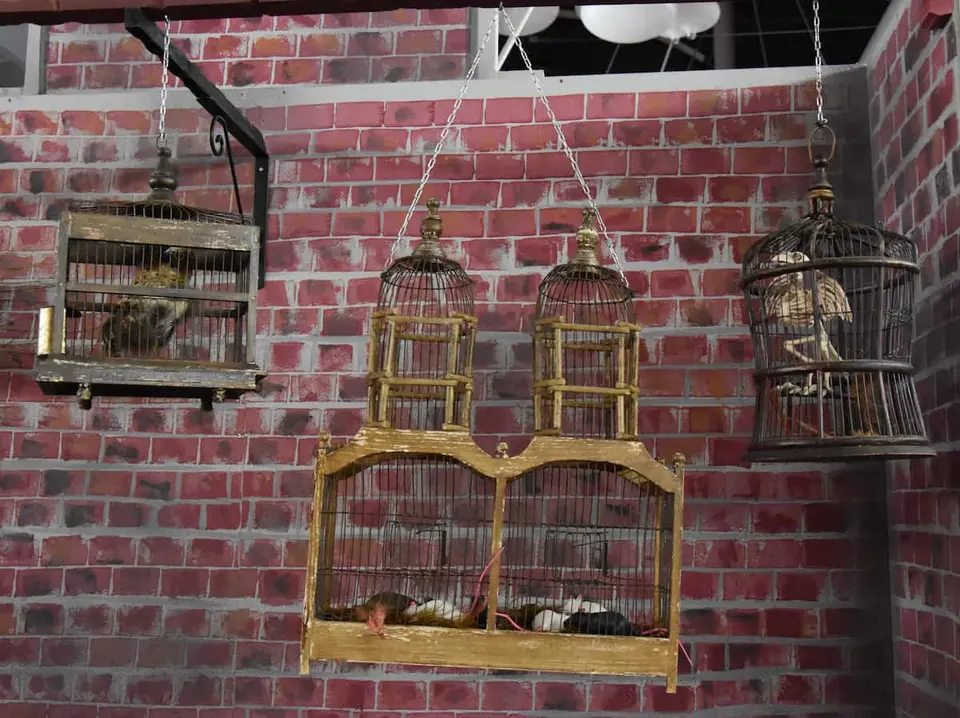 Cage à oiseaux ancienne (vide) petite