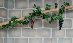 CEP de vigne clair avec grappes de raisin