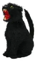 Chat noir assis