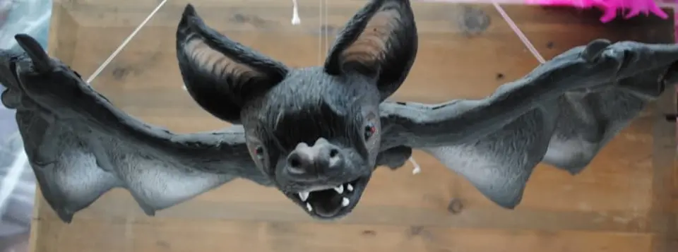 Chauve souris en latex