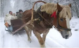 Cheval en 3D pour troïka