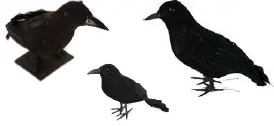 Corbeau noir 27 cm