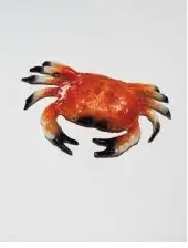 Crabe en plastique