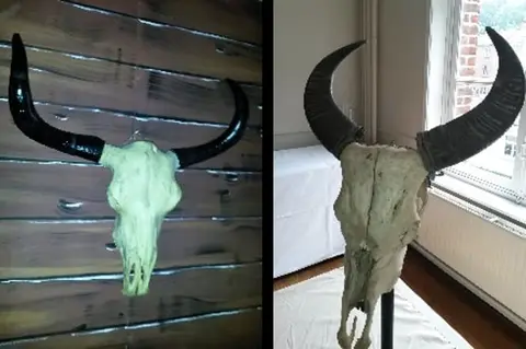 Crâne de buffle à suspendre