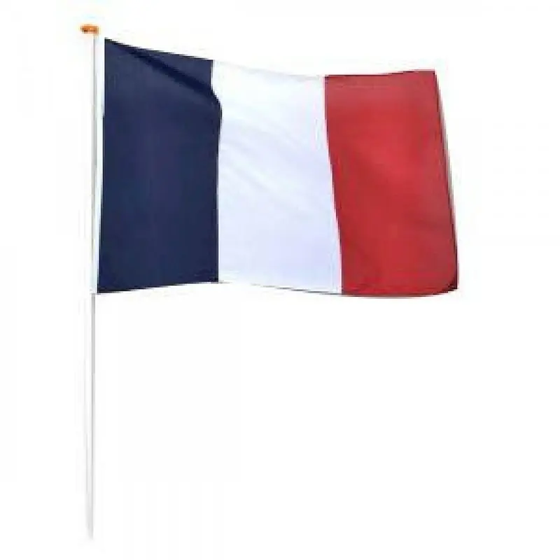 Drapeau de supporter français sur hampe