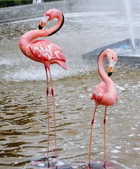 Flamant rose en bois grand