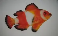 Grand poisson plat