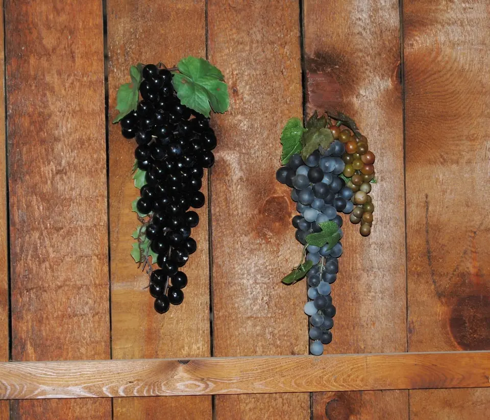 Grandes grappes de raisin
