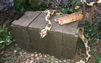 Grosse malle en bois poignées en corde