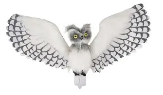 Hibou blanc sonore ailes ouvertes