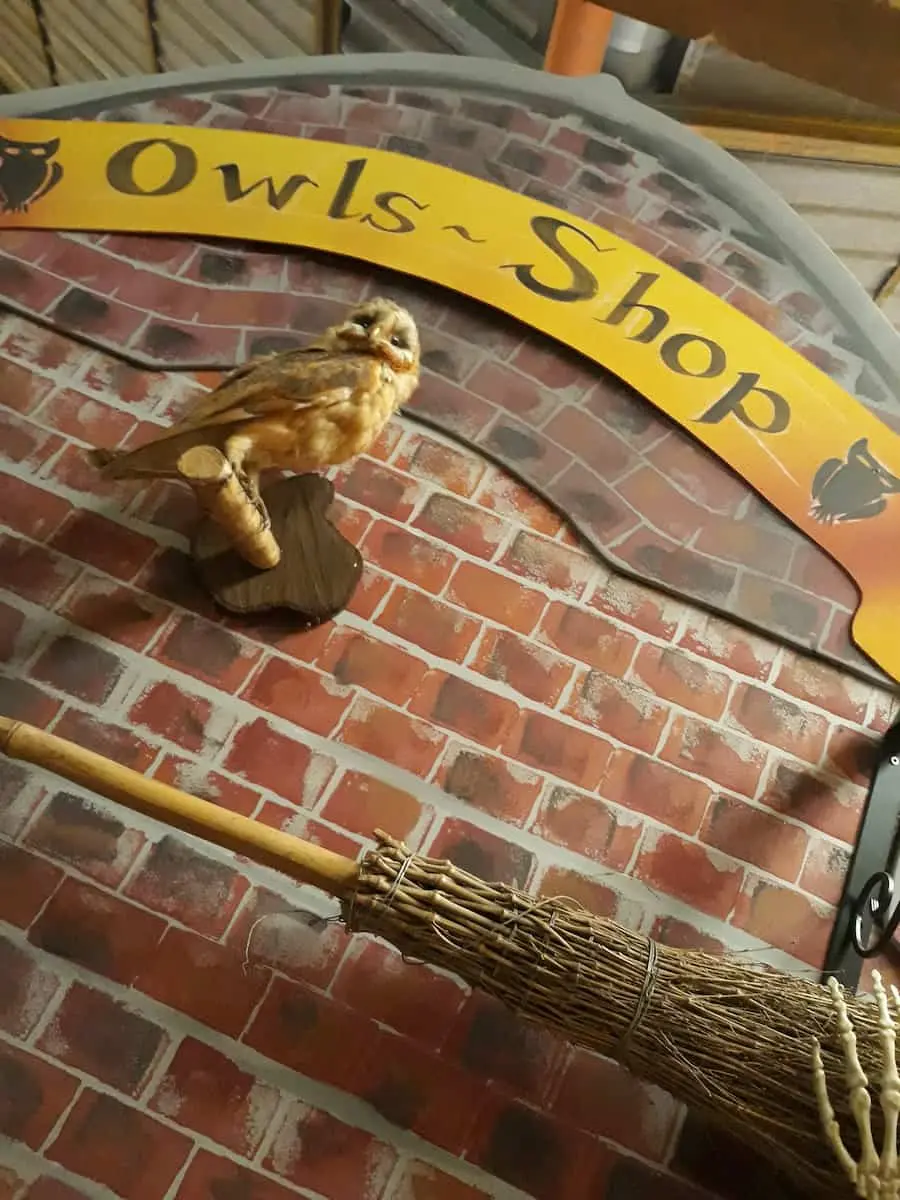 Hibou empaillé sur socle en bois à poser