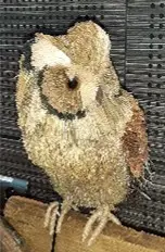 Hibou en paille