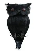 Hibou noir 25cm