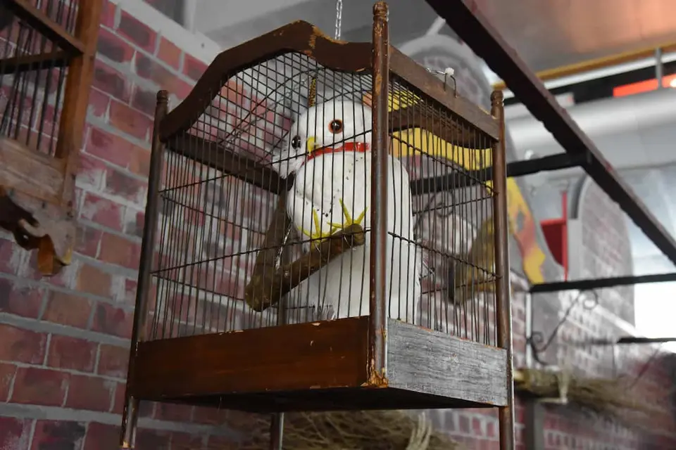 Hibou seul
