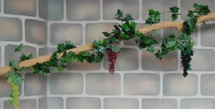 Liane CEP avec vigne