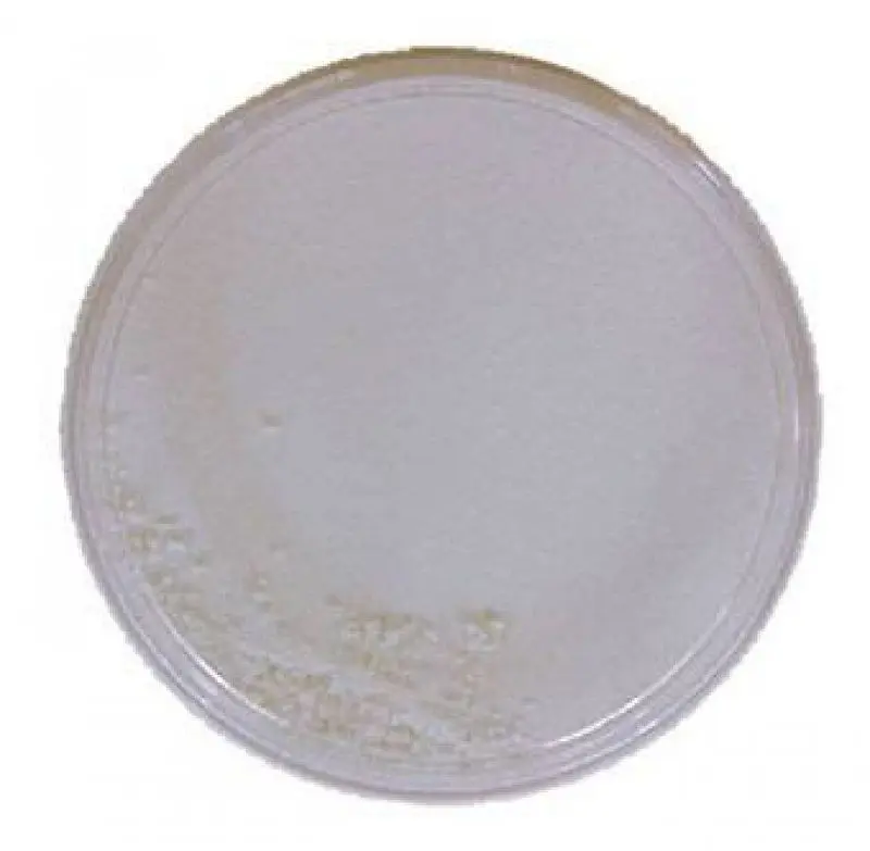 Maquillage à l’eau blanc en godet de 30 g