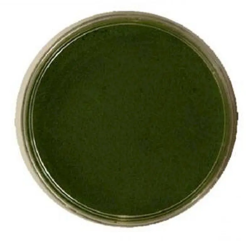 Maquillage à l’eau vert en godet de 30 g