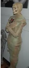 Momie grise