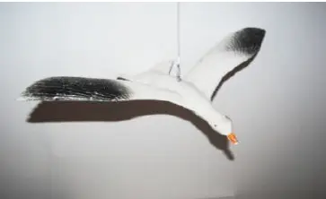 Mouette