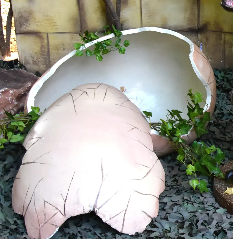 Oeuf de dinosaure fêlé