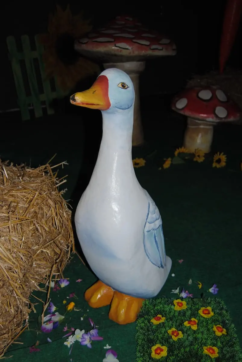 Oie 55cm