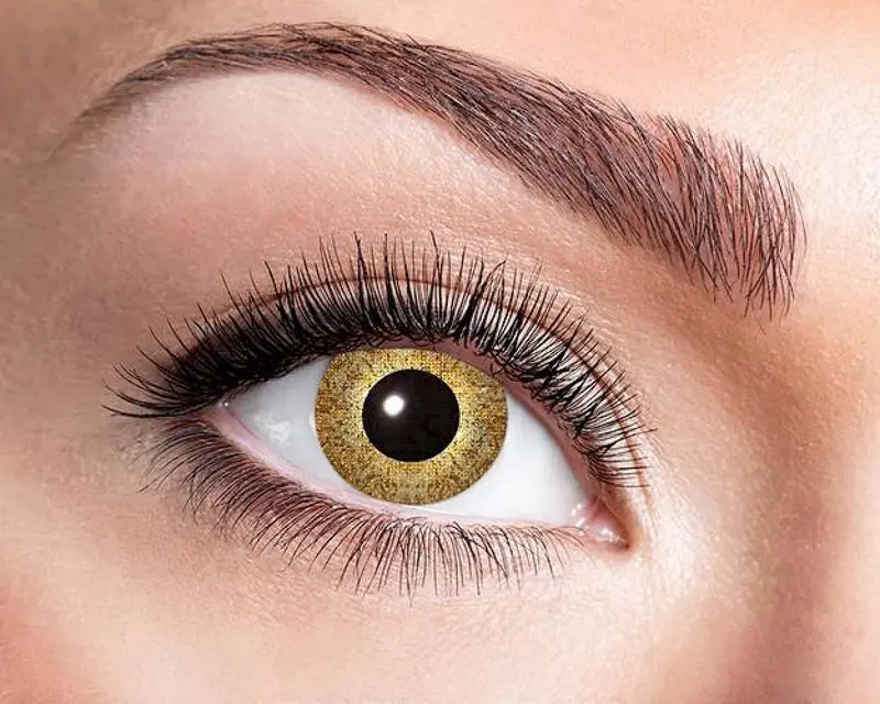 Paire de lentilles dorées finement mouchetées 12 mois