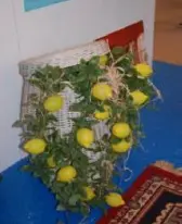 Panier à couvercle blanc