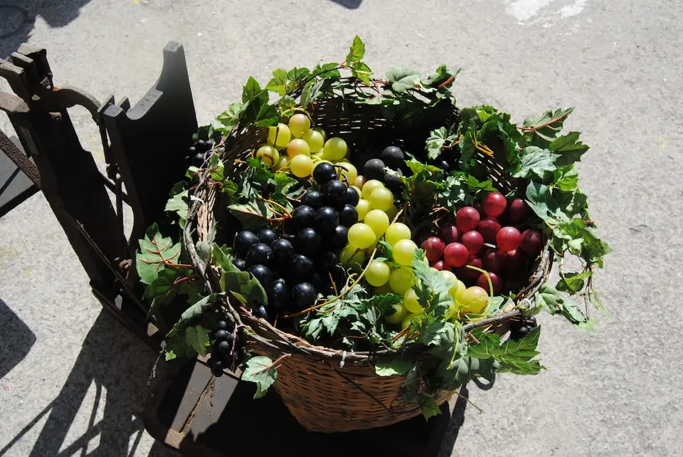 Panier XL avec raisin