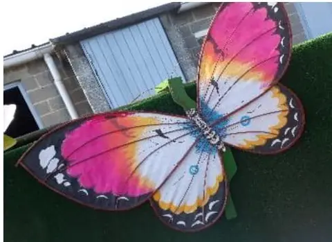 Papillon géant
