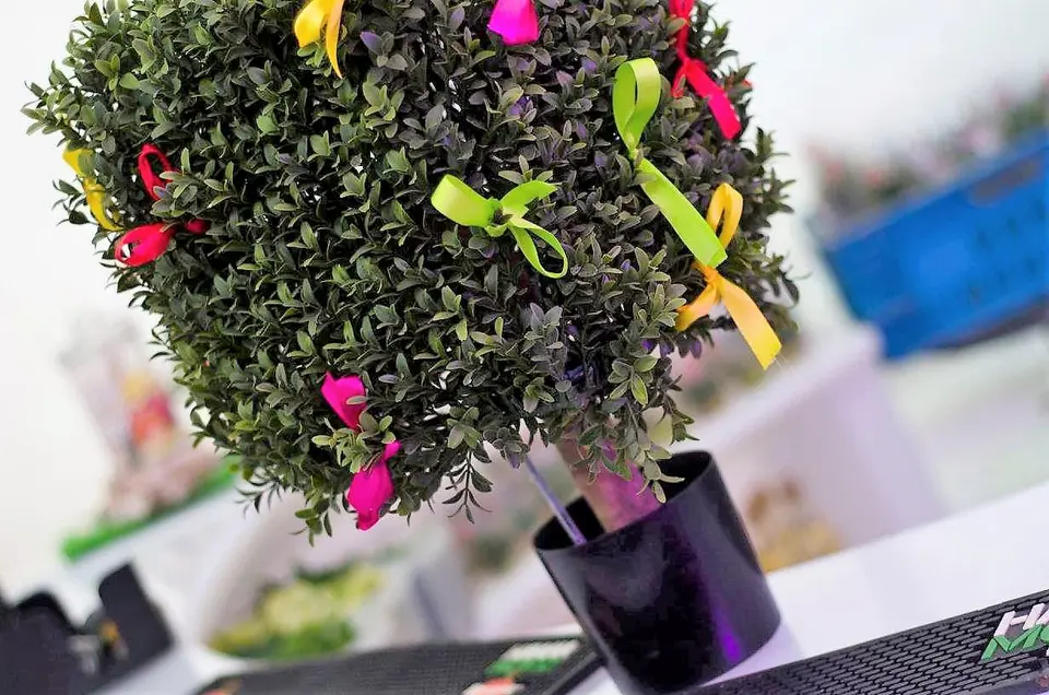 Petit arbre buis carré décoré de ruban de satin