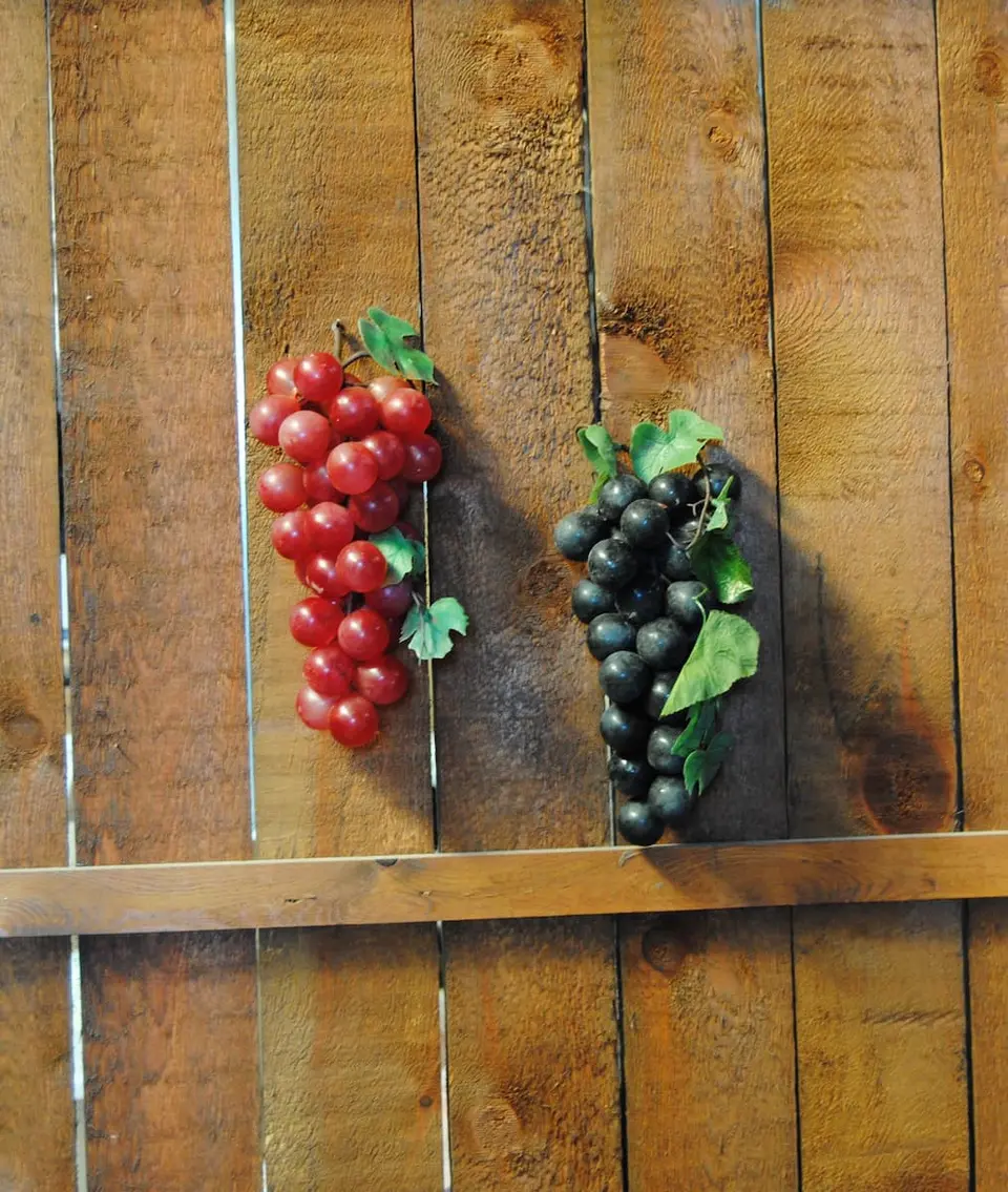 Petite grappe de raisin rouge foncé