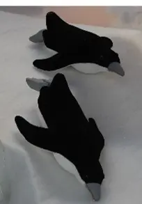 Pingouins qui glissent sur le ventre
