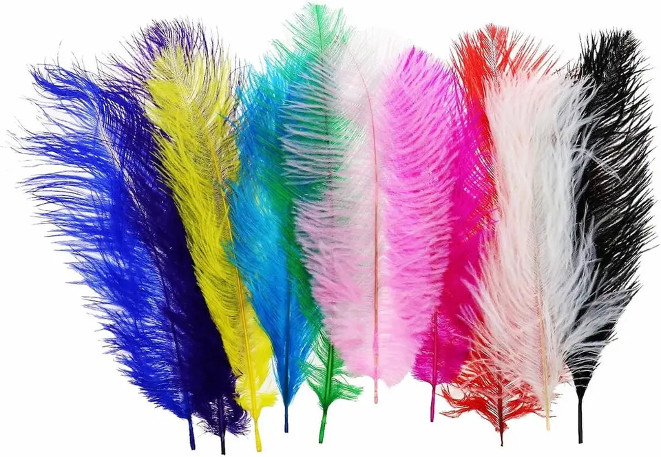 Plume 30cm