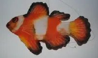 Poisson plat moyen