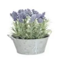 Pot en zinc avec lavande