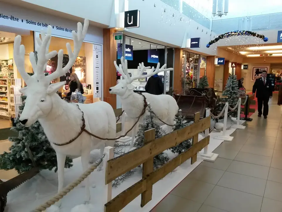 Rennes blancs en fourrure