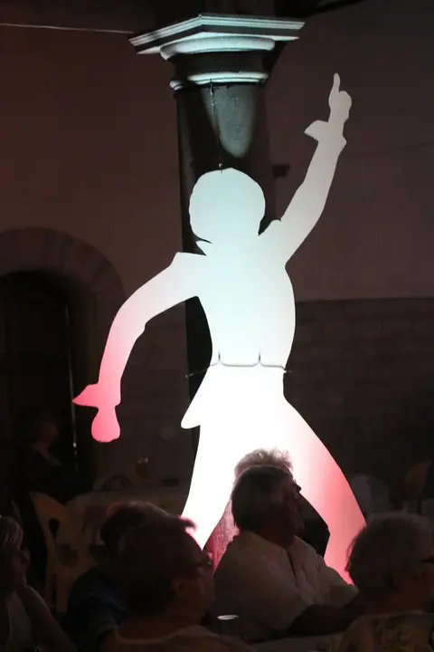 Silhouettes disco