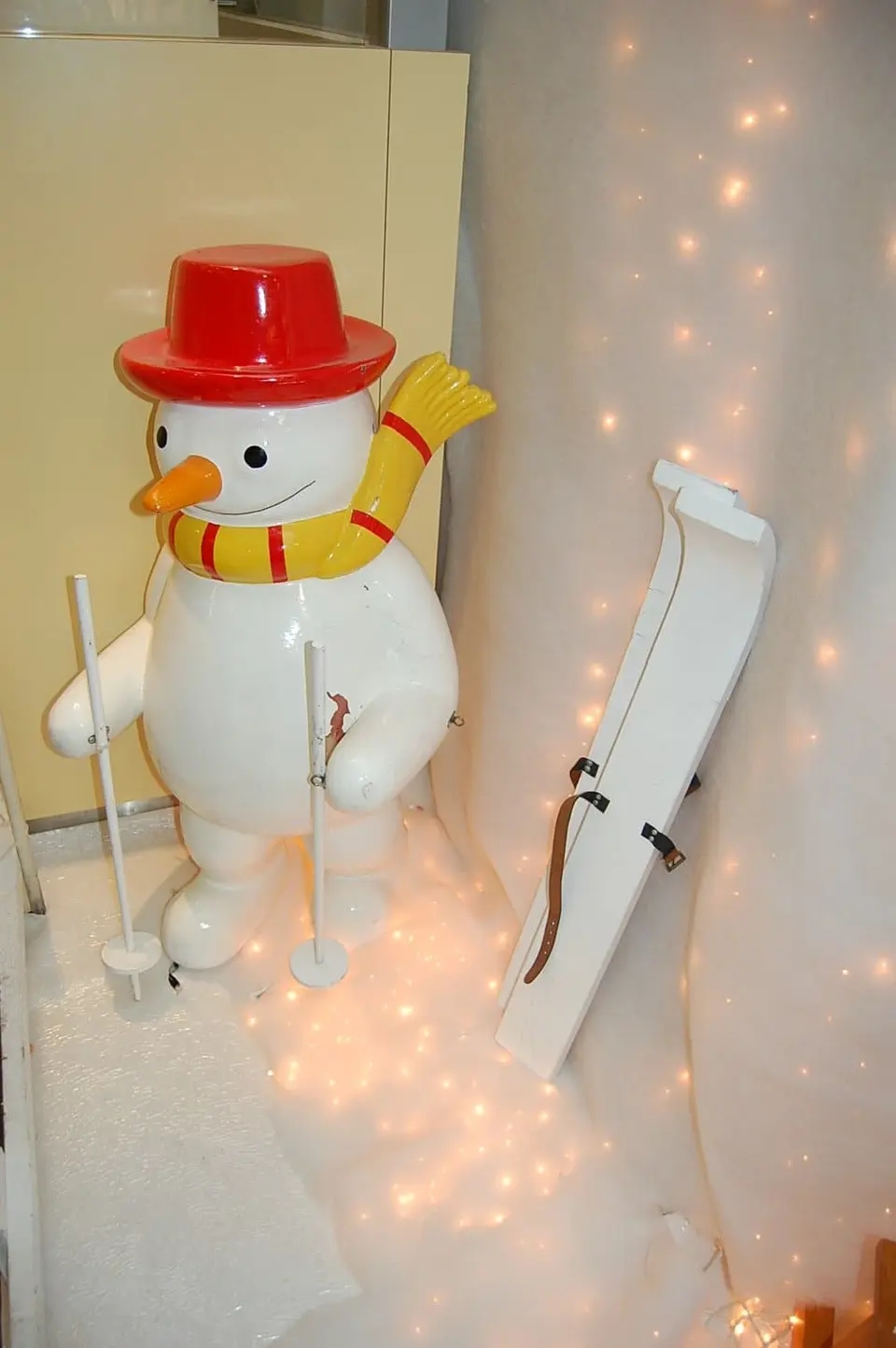 Skis et bâtons