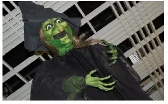Sorcière verte